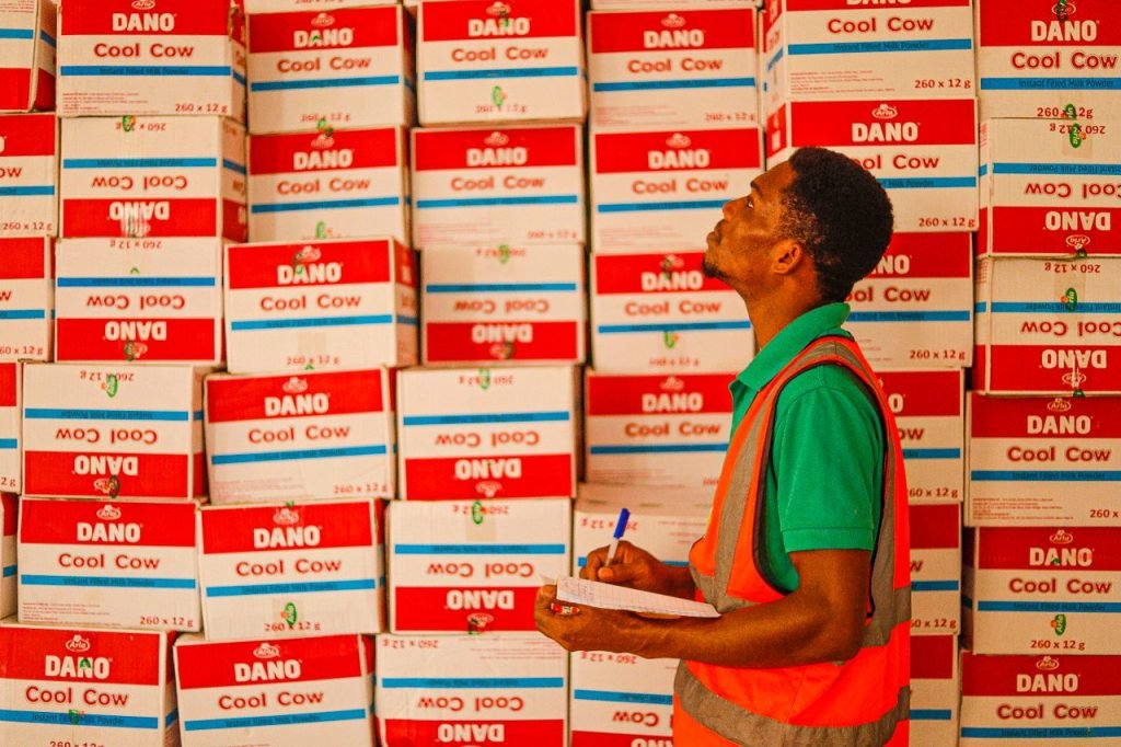 A warehouse worker examining stacked boxes labeled Dano Cool Cow.